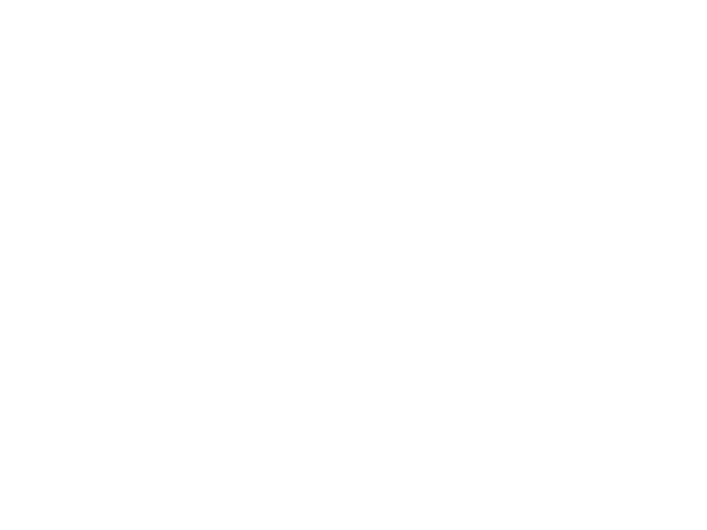 Stipt Polish Point